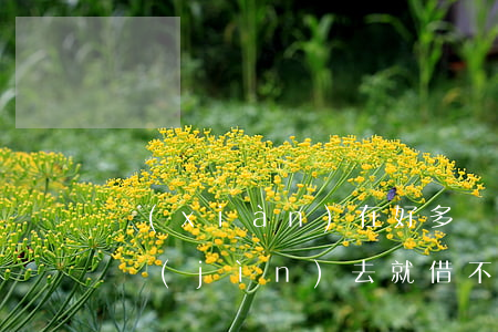 現(xiàn)在好多網(wǎng)貸還進(jìn)去就借不出來了-現(xiàn)在好多網(wǎng)貸還進(jìn)去就借不出來了怎么辦