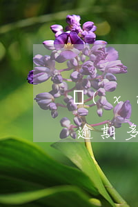 現(xiàn)在年輕人網(wǎng)貸逾期多嗎(年輕人逾期的多嗎)