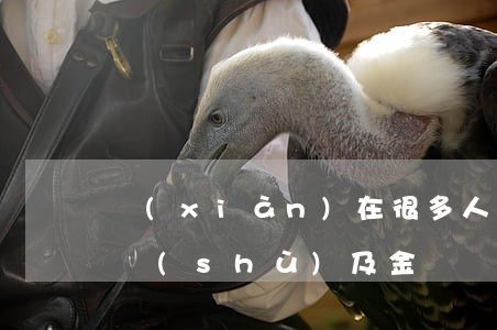 現(xiàn)在很多人欠信用卡：未還款人數(shù)及金額統(tǒng)計