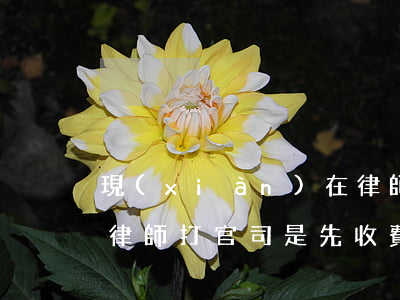 現(xiàn)在律師先收費(fèi)嗎?(律師打官司是先收費(fèi)還是后收費(fèi))