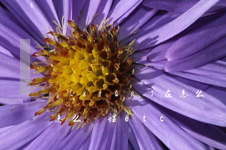 現(xiàn)在怎么辦(現(xiàn)在怎么辦理etc)