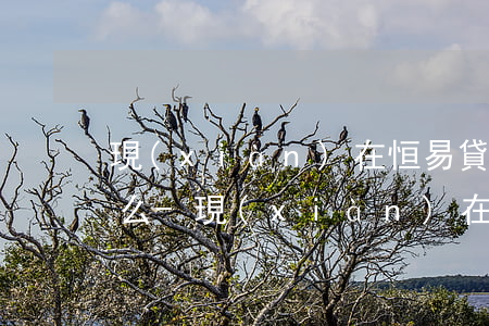 現(xiàn)在恒易貸不催了嗎需要還款么-現(xiàn)在恒易貸不催了嗎需要還款么嗎