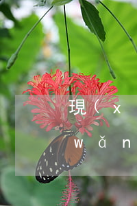 現(xiàn)在懷孕欠24信用卡和網(wǎng)貸(欠了45萬信用卡和網(wǎng)貸)