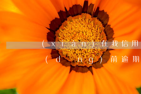 現(xiàn)在我信用卡逾期未還（信用卡當(dāng)前逾期還不起怎么辦）