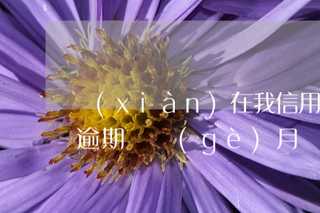 現(xiàn)在我信用卡逾期未還（信用卡逾期幾個(gè)月無力償還怎么辦）