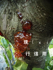 現(xiàn)在我信用卡逾期未還（工商銀行信用卡借錢逾期未還）