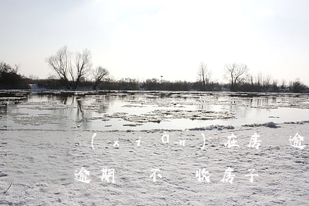 現(xiàn)在房貸逾期會封房子嗎(房貸逾期會不會收房子)