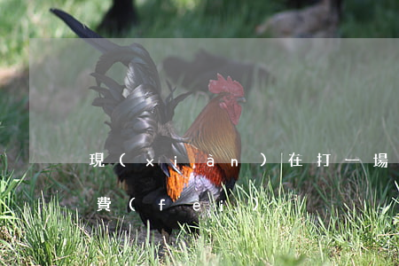 現(xiàn)在打一場官司要交多少律師費(fèi)