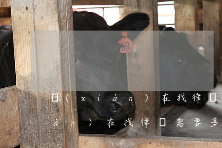現(xiàn)在找律師要多少錢(現(xiàn)在找律師需要多少錢)