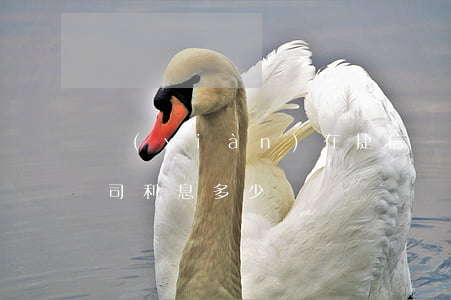 現(xiàn)在捷信貸款利息(捷信貸款公司利息多少)