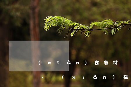 現(xiàn)在支付寶借唄不能隨時還款嗎-現(xiàn)在支付寶借唄不能隨時還款嗎為什么