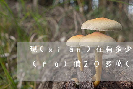現(xiàn)在有多少人負(fù)債(負(fù)債20多萬(wàn)如何挺過(guò))
