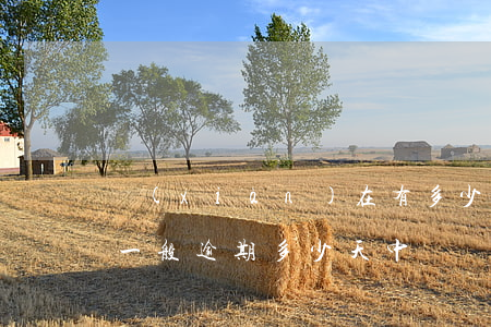 現(xiàn)在有多少信用卡逾期（信用卡一般逾期多少天中國）