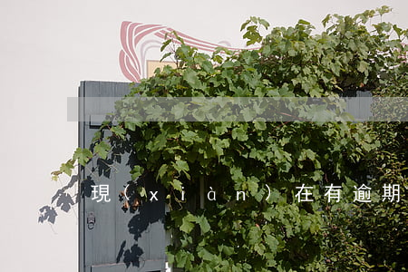 現(xiàn)在有逾期怎么能貸款