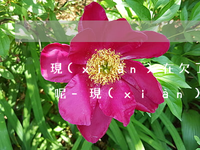 現(xiàn)在欠了20多萬我該怎么辦呢-現(xiàn)在欠了20多萬我該怎么辦呢視頻