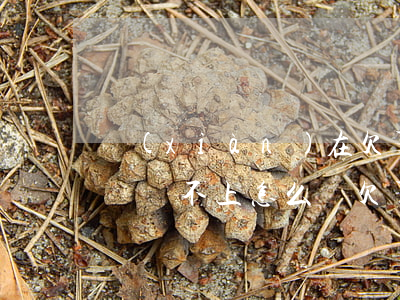 現(xiàn)在欠了一堆網(wǎng)貸還不上怎么辦(欠了一堆網(wǎng)貸無(wú)力還怎么辦)