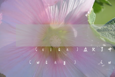 現(xiàn)在欠了十多萬(wàn)網(wǎng)貸(網(wǎng)貸欠了10幾萬(wàn))