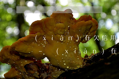 現(xiàn)在欠信用卡沒(méi)錢還-現(xiàn)在欠信用卡沒(méi)錢還說(shuō)說(shuō)
