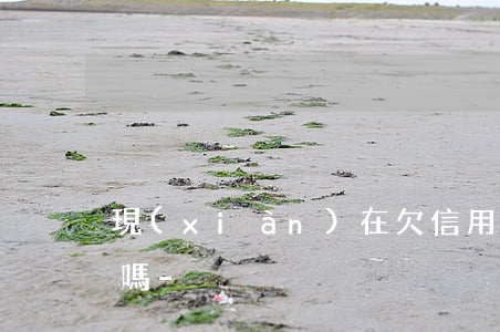 現(xiàn)在欠信用卡還不上了的人多嗎-