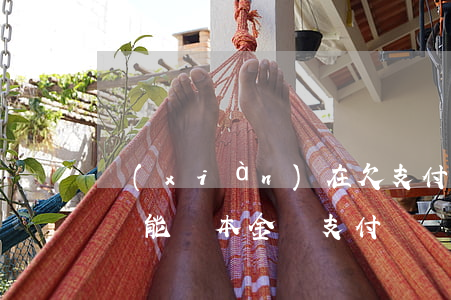 現(xiàn)在欠支付寶網(wǎng)貸能還本金嗎(支付寶網(wǎng)貸還不起怎么辦)