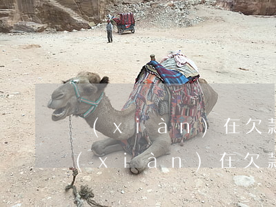現(xiàn)在欠款20萬怎么辦呢-現(xiàn)在欠款20萬怎么辦呢