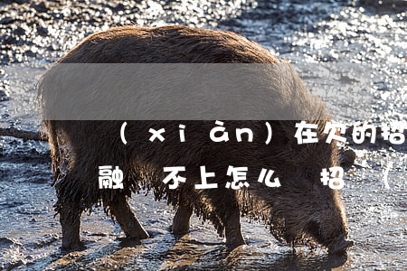 現(xiàn)在欠的招聯(lián)金融還不上怎么辦(招聯(lián)金融還不起怎么辦)