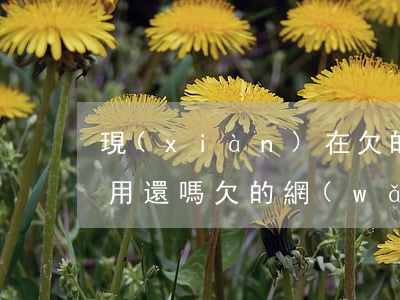 現(xiàn)在欠的網(wǎng)貸還用還嗎(欠的網(wǎng)貸還要還嗎)
