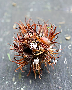 現(xiàn)在欠網(wǎng)貸15萬(wàn)怎么辦(欠了網(wǎng)貸15萬(wàn)怎么辦)