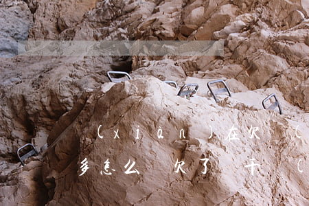 現(xiàn)在欠網(wǎng)貸2萬多怎么辦(欠了兩千網(wǎng)貸怎么辦)