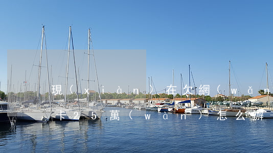 現(xiàn)在欠網(wǎng)貸信用卡25萬(wàn)怎么辦-