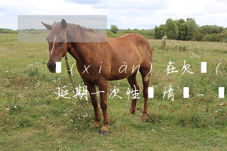 現(xiàn)在欠網(wǎng)貸可以延期一次性還清嗎-現(xiàn)在欠網(wǎng)貸可以延期一次性還清嗎知乎