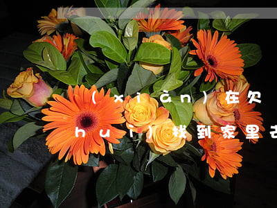 現(xiàn)在欠網(wǎng)貸會(huì)找到家里去(現(xiàn)在欠網(wǎng)貸會(huì)找到家里去)