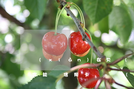 現(xiàn)在欠網(wǎng)貸沒還完能辦信用卡嗎-現(xiàn)在欠網(wǎng)貸沒還完能辦信用卡嗎知乎