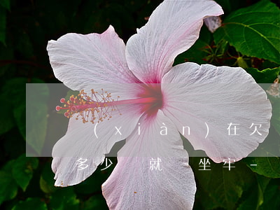 現(xiàn)在欠網(wǎng)貸超過多少錢就會坐牢-