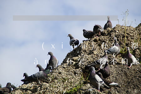 現(xiàn)在欠錢都不怕起訴(現(xiàn)在欠錢都不怕起訴嗎)