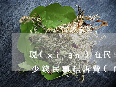 現(xiàn)在民事起訴費(fèi)多少錢(民事起訴費(fèi)一般是多少錢啊)