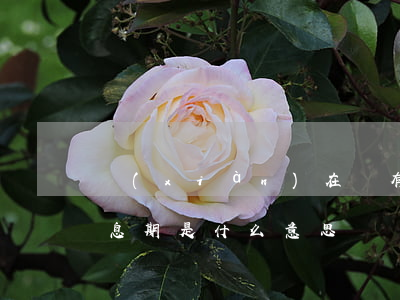 現(xiàn)在沒有免息分期了嗎 沒有免息期是什么意思