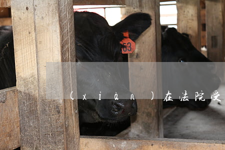 現(xiàn)在法院受理逾期案件嗎