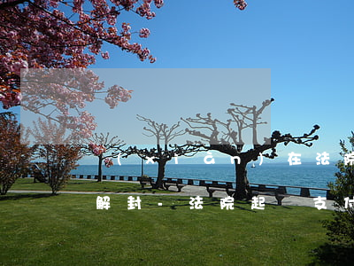 現(xiàn)在法院有起訴支付寶啥時間解封-法院起訴支付寶會被凍結(jié)嗎