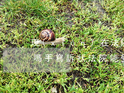 現(xiàn)在法院起訴狀可以手工書寫嗎(手寫訴狀法院能受理嗎?)