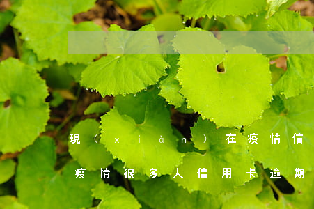 現(xiàn)在疫情信用卡逾期的人多嗎(疫情很多人信用卡逾期)