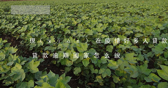 現(xiàn)在疫情好多人貸款逾期(疫情貸款逾期國家怎么說)