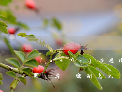 現(xiàn)在疫情期間房貸逾期了(疫情期間房貸逾期怎么辦)