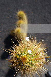 現(xiàn)在疫情負債50萬怎么辦-現(xiàn)在疫情負債50萬怎么辦呢
