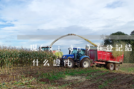 現(xiàn)在登記結(jié)婚需要什么證件