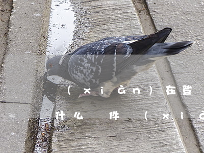 現(xiàn)在登記結(jié)婚需要什么證件(現(xiàn)登記結(jié)婚需要哪些證件)