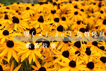 現(xiàn)在的停息掛賬靠譜不(停息掛賬新政策)