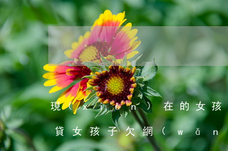 現(xiàn)在的女孩欠網(wǎng)貸(女孩子欠網(wǎng)貸)