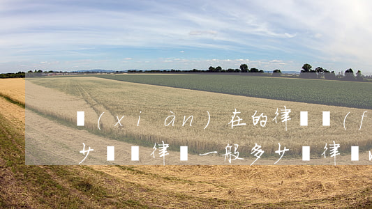 現(xiàn)在的律師費(fèi)要多少錢(請律師一般多少錢律師收費(fèi)標(biāo)準(zhǔn))