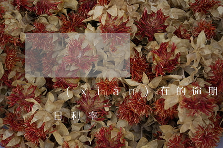 現(xiàn)在的逾期貸款利率 逾期貸款日利率
